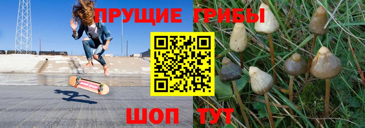 Галлюциногенные грибы прущие грибы Лесосибирск